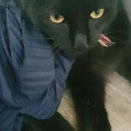 Dom wakacyjny Lulu's Lovely Center House