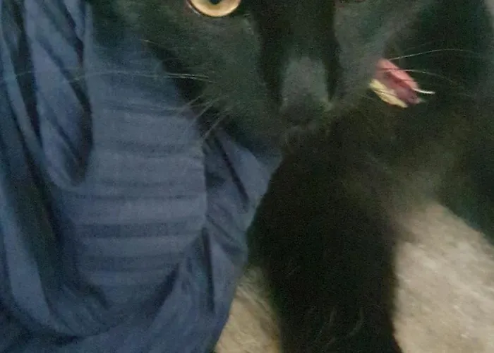 Dom wakacyjny Lulu's Lovely Center House